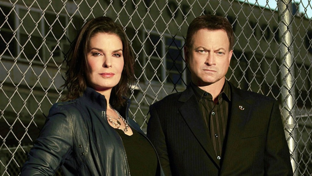 CSI: NY Season 9 Streaming: Watch & Stream Online via Hulu and Paramount Plus